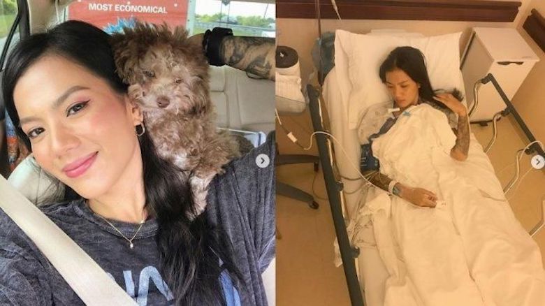 KJRI Chichago Telat Respon Derita Artis Indonesia Korban KDRT di Amerika