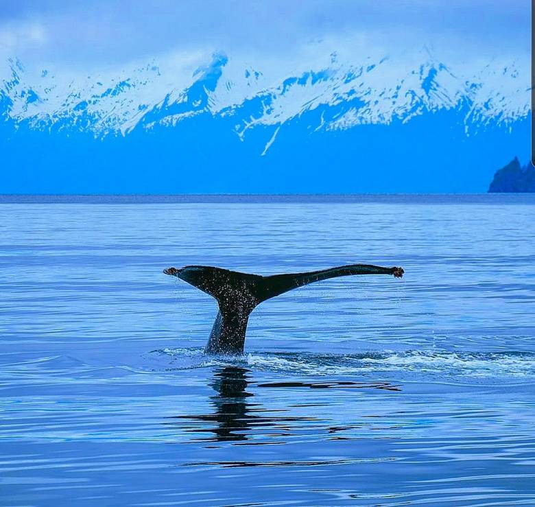 Alaska, Surreal but Nice