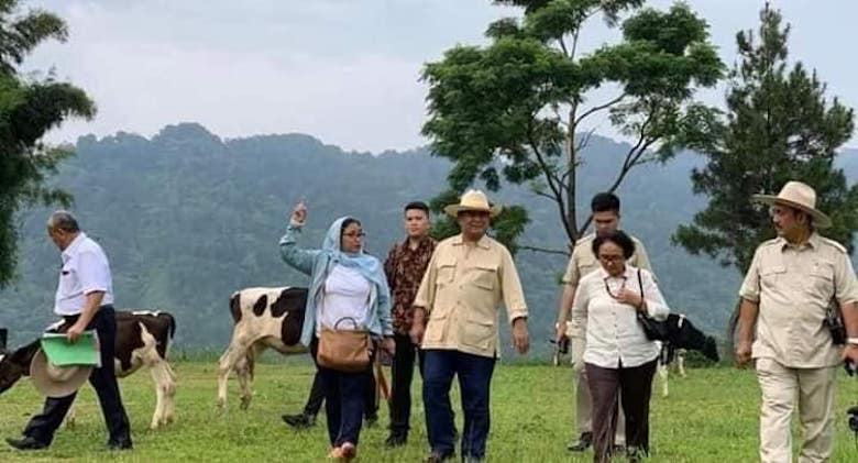 Sulit Dibuktikan Korelasi Hasil Survei Litbang Kompas dengan Pemred Ninuk