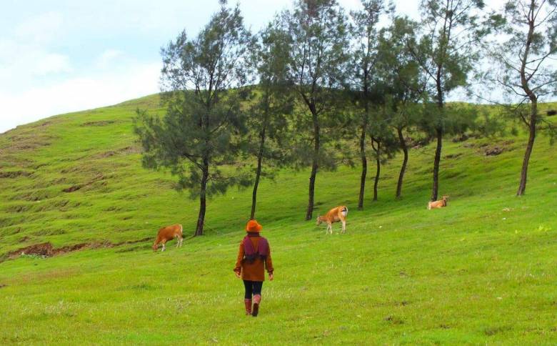 Sobat PepNews Wajib Tahu tentang Tempat Wisata di Kabupaten Ini