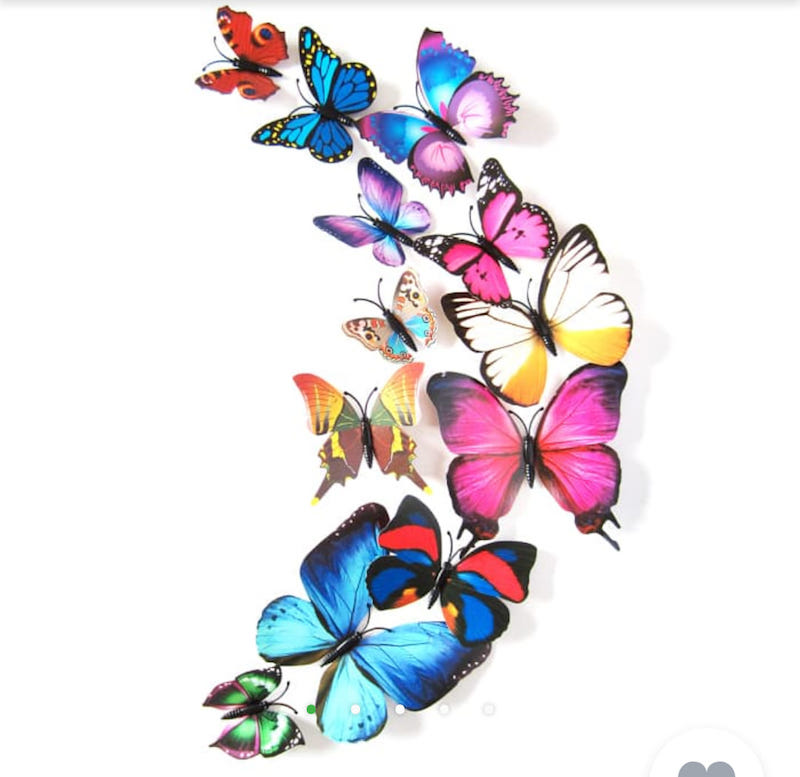 Kepompong dan Perjuangannya