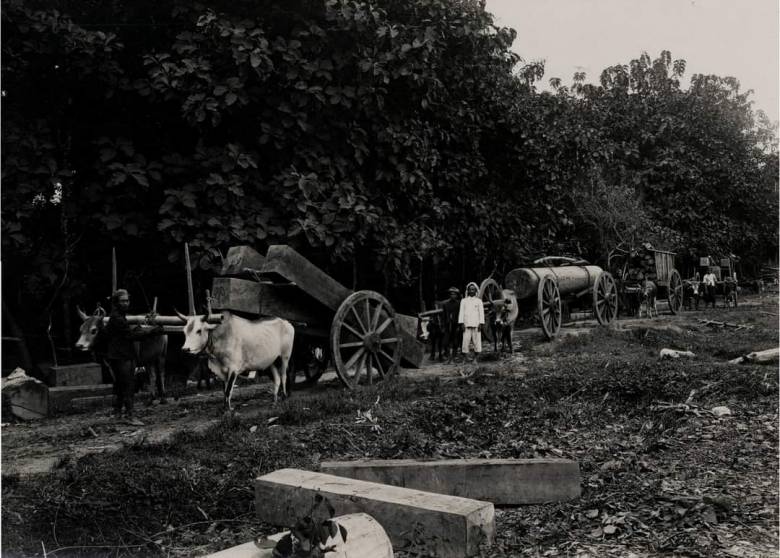 Sejatining Jati [1] Jati, Jawa dan Kejawaan