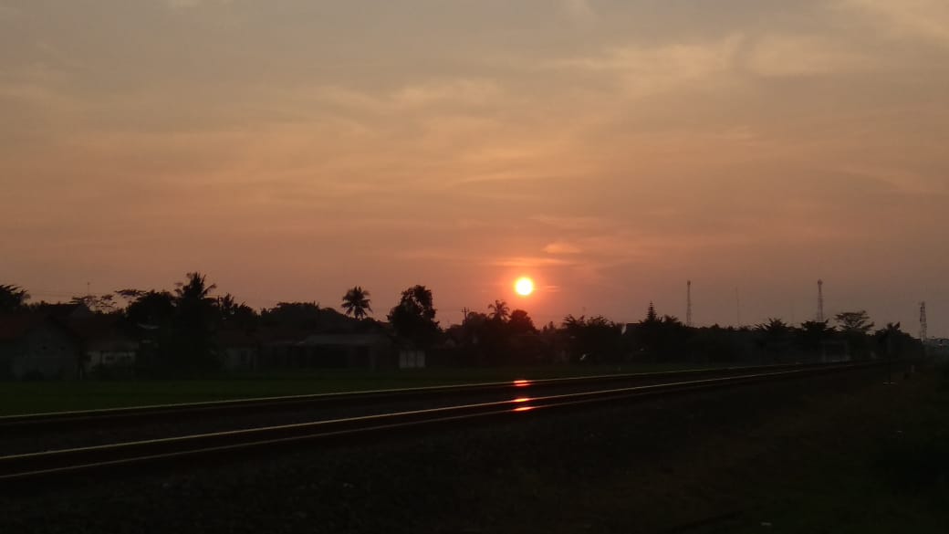 Coronavirus dan Vaksin Kembang Wijaya Kusuma