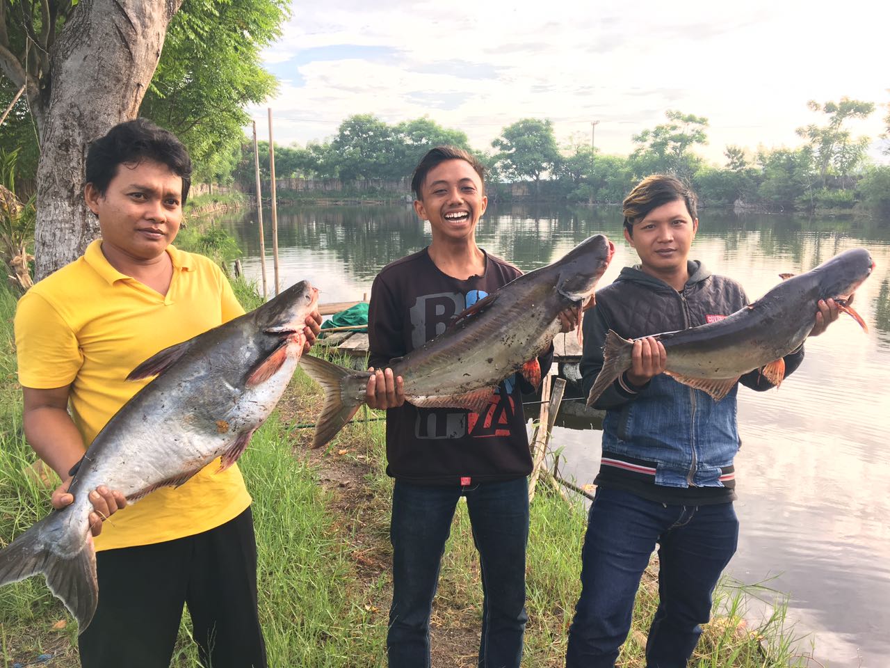 WA Web Apk: Cara Mudah Mengakses WhatsApp di Komputer