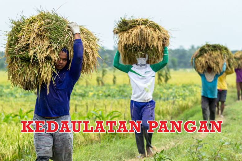 Jangan Politisasi Keniscayaan Kedaulatan Pangan Kita!