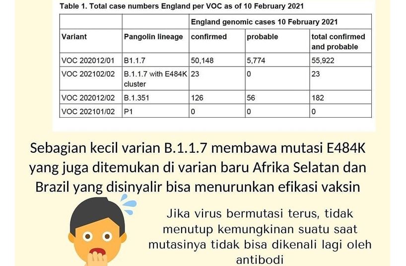 Probiotik, Manjur Atasi Semua Jenis Varian Corona