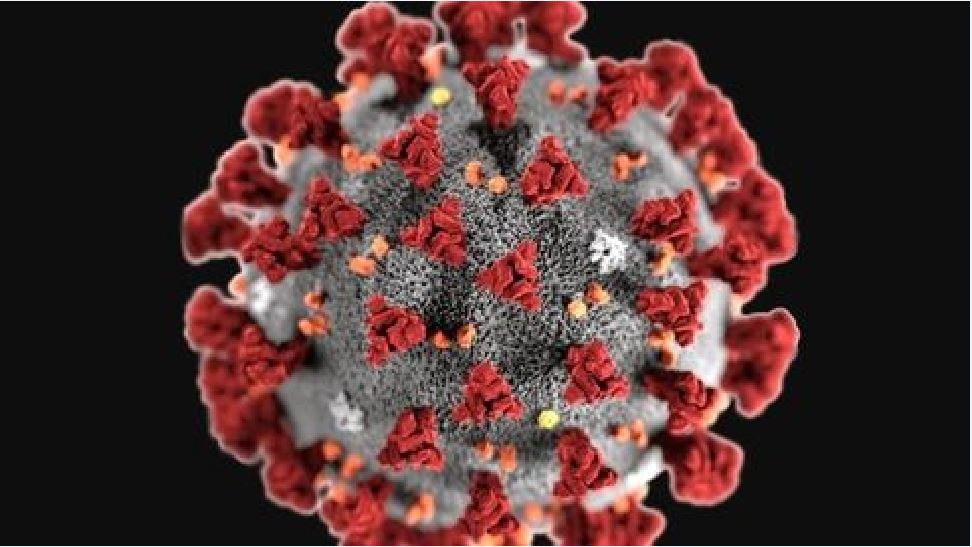 Berapa Pun Varian Virus Corona, Bisa Diatasi dengan Probiotik Siklus!