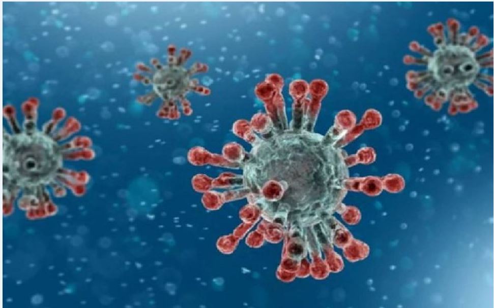 Sinovac Diragukan, Indonesia Malah Terjepit Masuknya Corona D614G