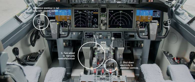 Membayangkan Video dan Grafik Lion