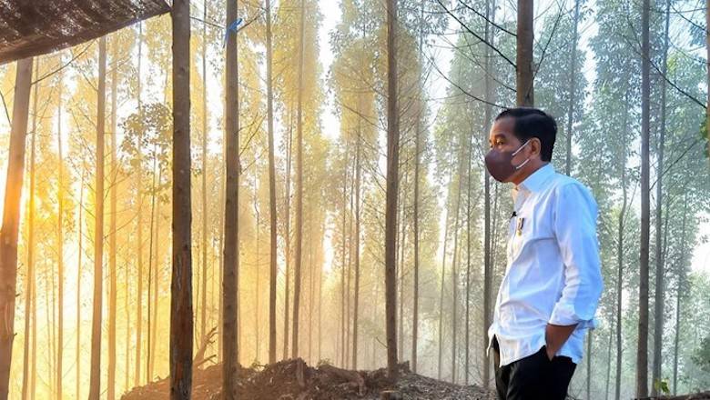 Pembangunan IKN Mendapat Apresiasi dan Dukungan Internasional