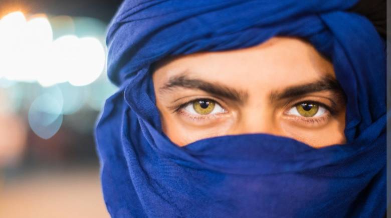 Takkan Ada Species Sapi Arab