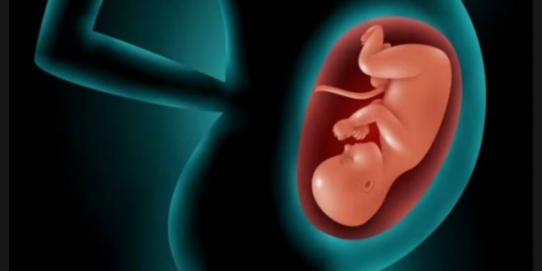 Mengapa Kita Sebaiknya Berpikir Sebagai Satu Spesies?