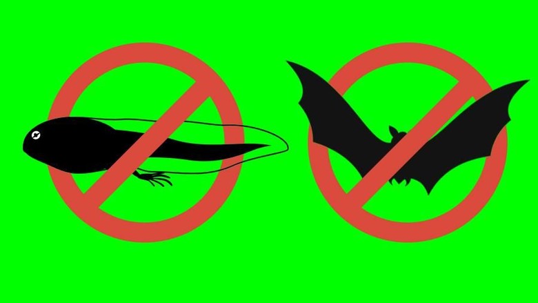 Pemilu Usai, Tenggelamkan Panggilan Cebong dan Kampret