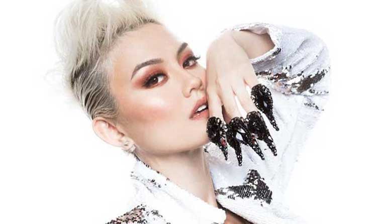 Who Are the Indonesian?