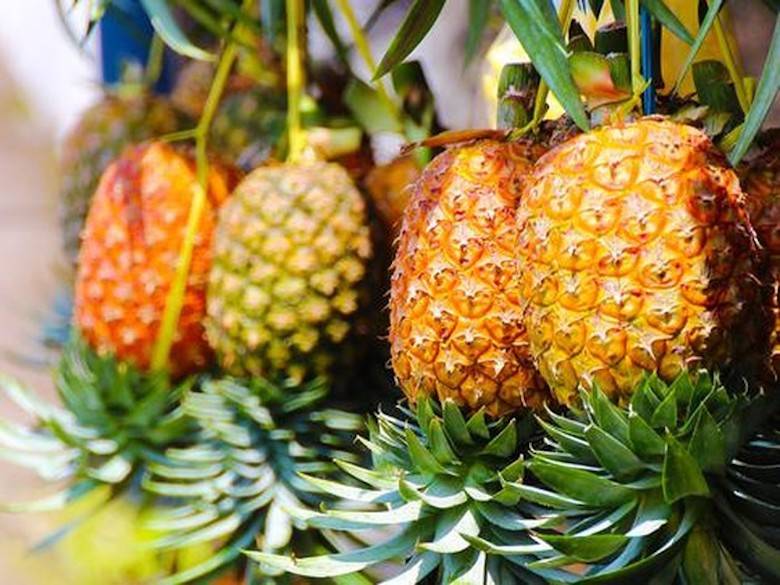 Cara Memilih Nanas Subang yang Bermadu