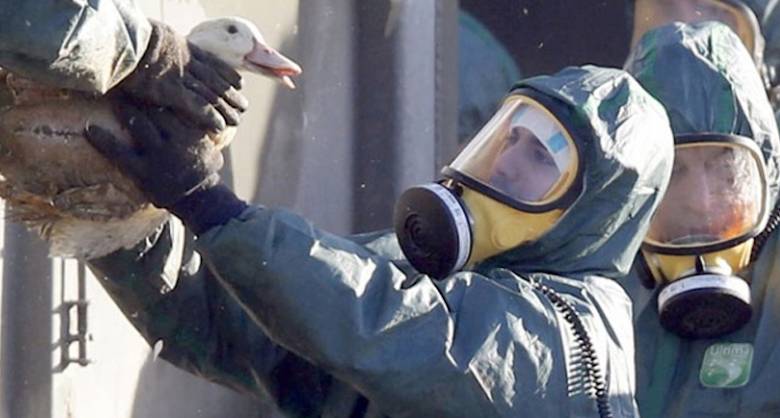 Pola Penyebaran Flu Burung dan Virus Corona Hampir Sama