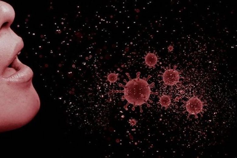 Manusia dan Virus Ronde Dua