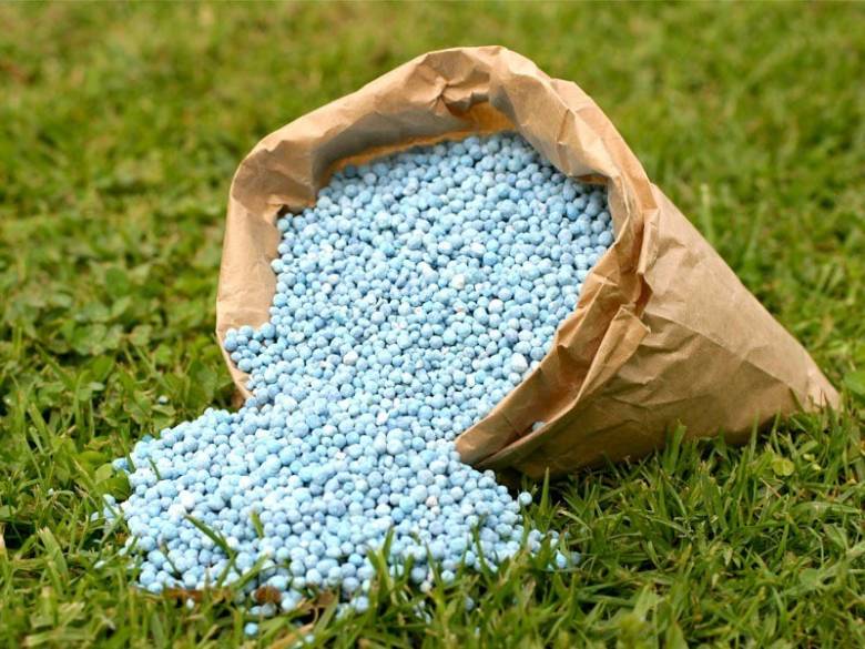 Siasat Jitu Pemerintah Benahi Distribusi Pupuk