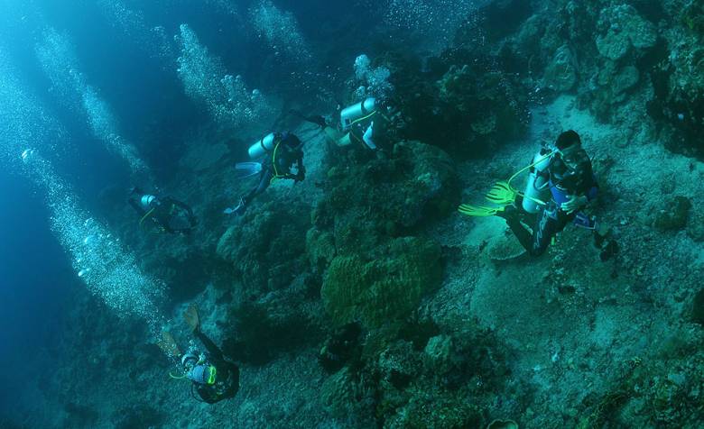 Surganya Diving Spot Terbaik di Indonesia Ada di Halmahera Selatan