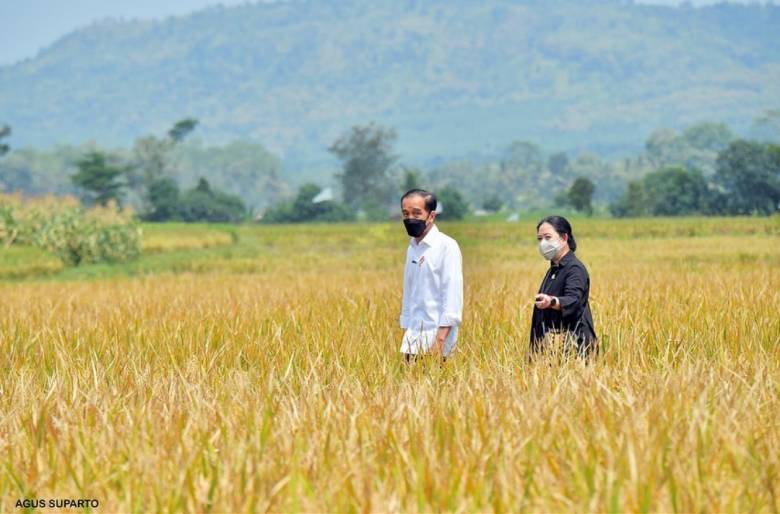 Agama dengan Mazhab Salawi