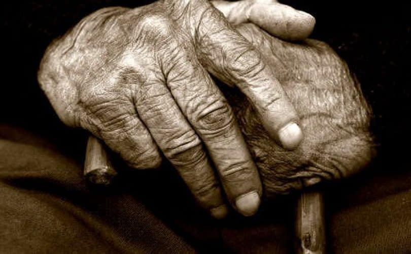 Sketsa Harian [38] Profesor Kehidupan