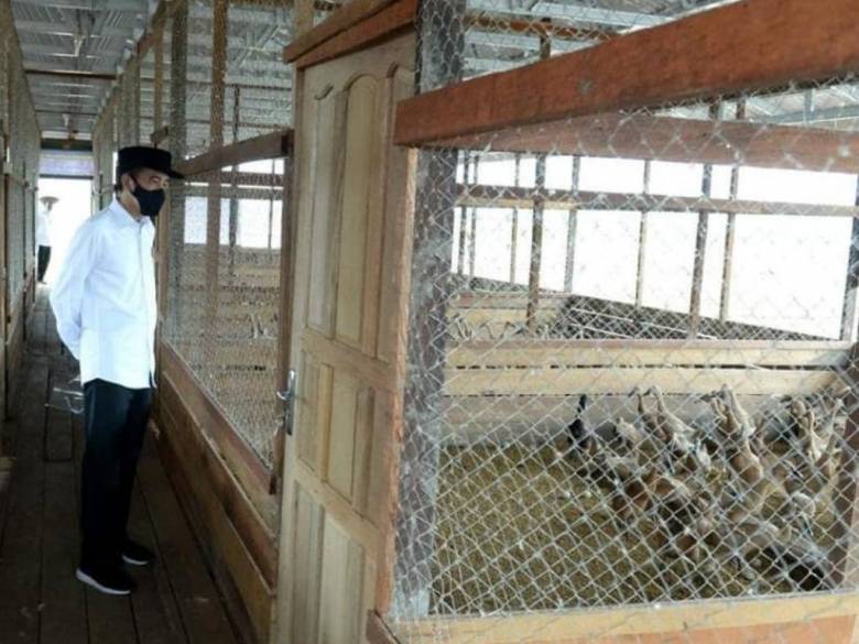 Kemudian Apa Setelah Demo, Jokowi Jatuh?