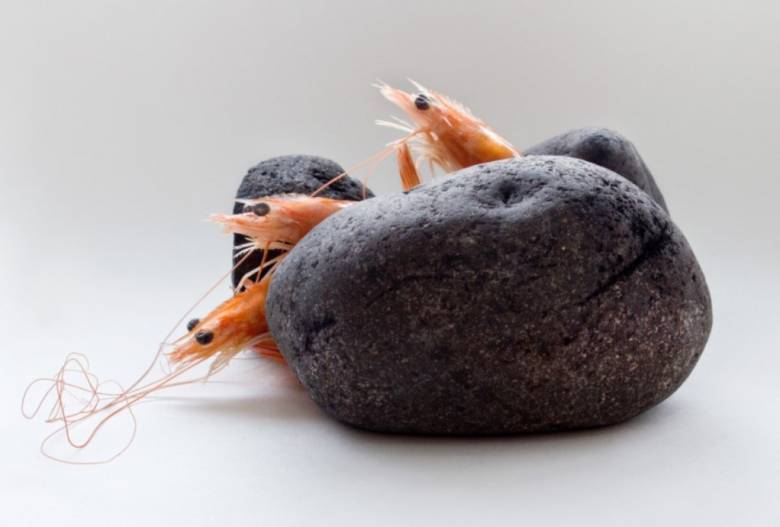 Menyerang Panggung Dungu, Namun Diam-Diam Jadi Penikmat