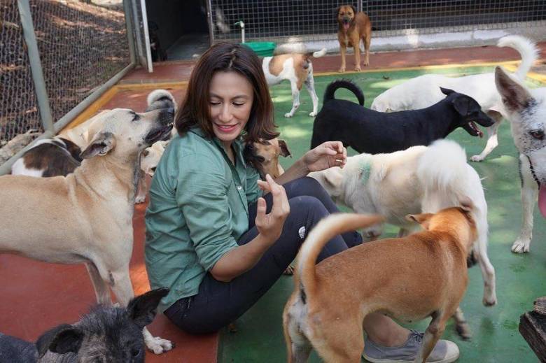 Anjing Itu Manusia dalam Bentuk Lain