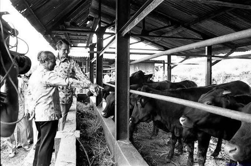 Sapi Banpres daripada Soeharto