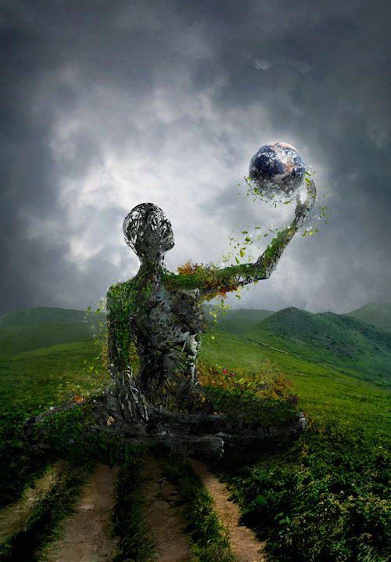 Planetaritas, Biophilia dan Pendidikan Kita