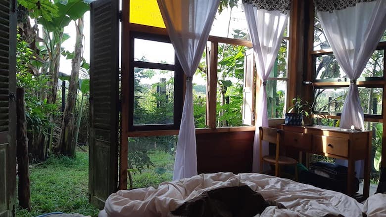 Pemudik Gadungan [3] Melihat "Homo" di Museum Sangiran