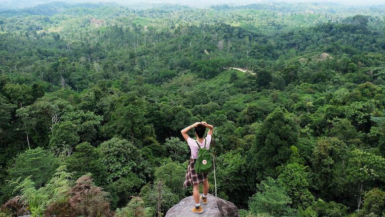 Ibu Kota Mengapa Kalimantan?