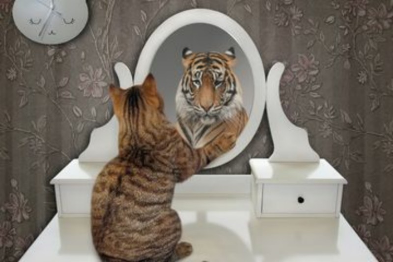 Megalomania dan Post Truth Politic