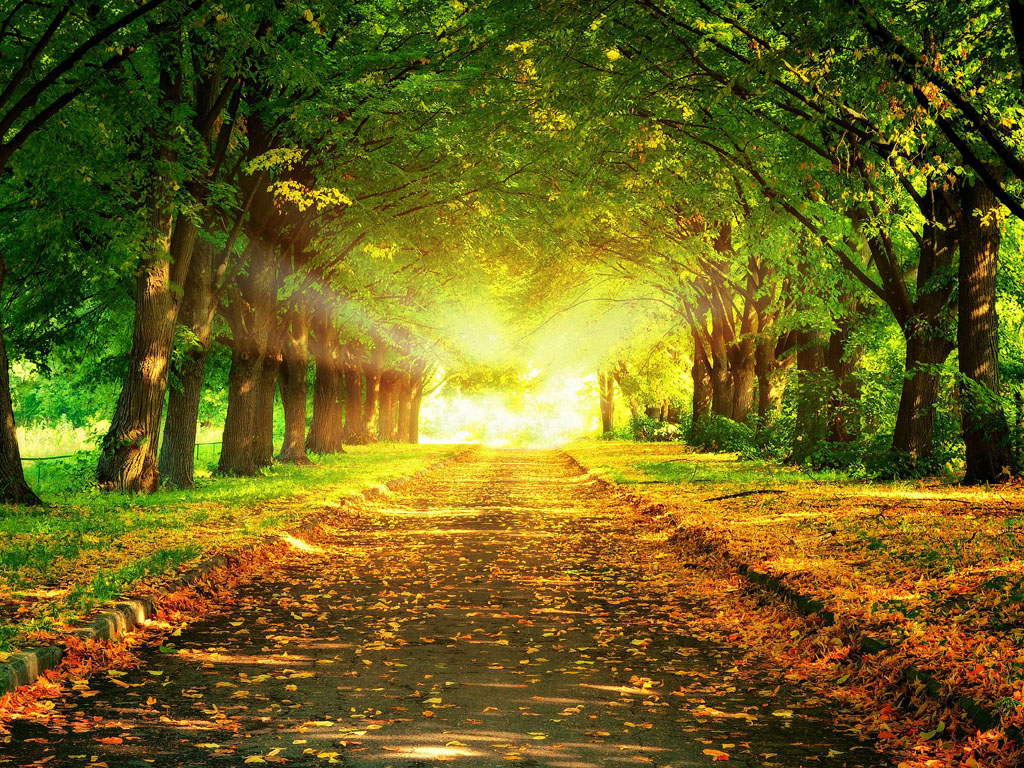 Budaya Instan, Bahkan Presiden Pun Harus Ditumbangkan Secara Cepat