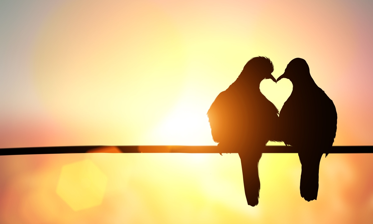 Apakah Cinta Harus Digabung Sepaket dengan Komitmen?