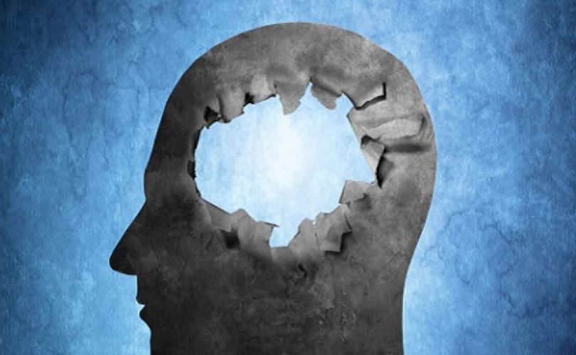 Politik Kebodohan demi Membodohi Publik