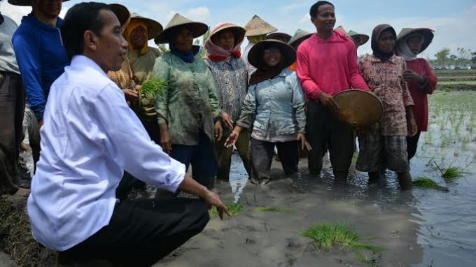 Tingkat Pendidikan Pengaruhi Daya Pilih antara Jokowi dan Prabowo