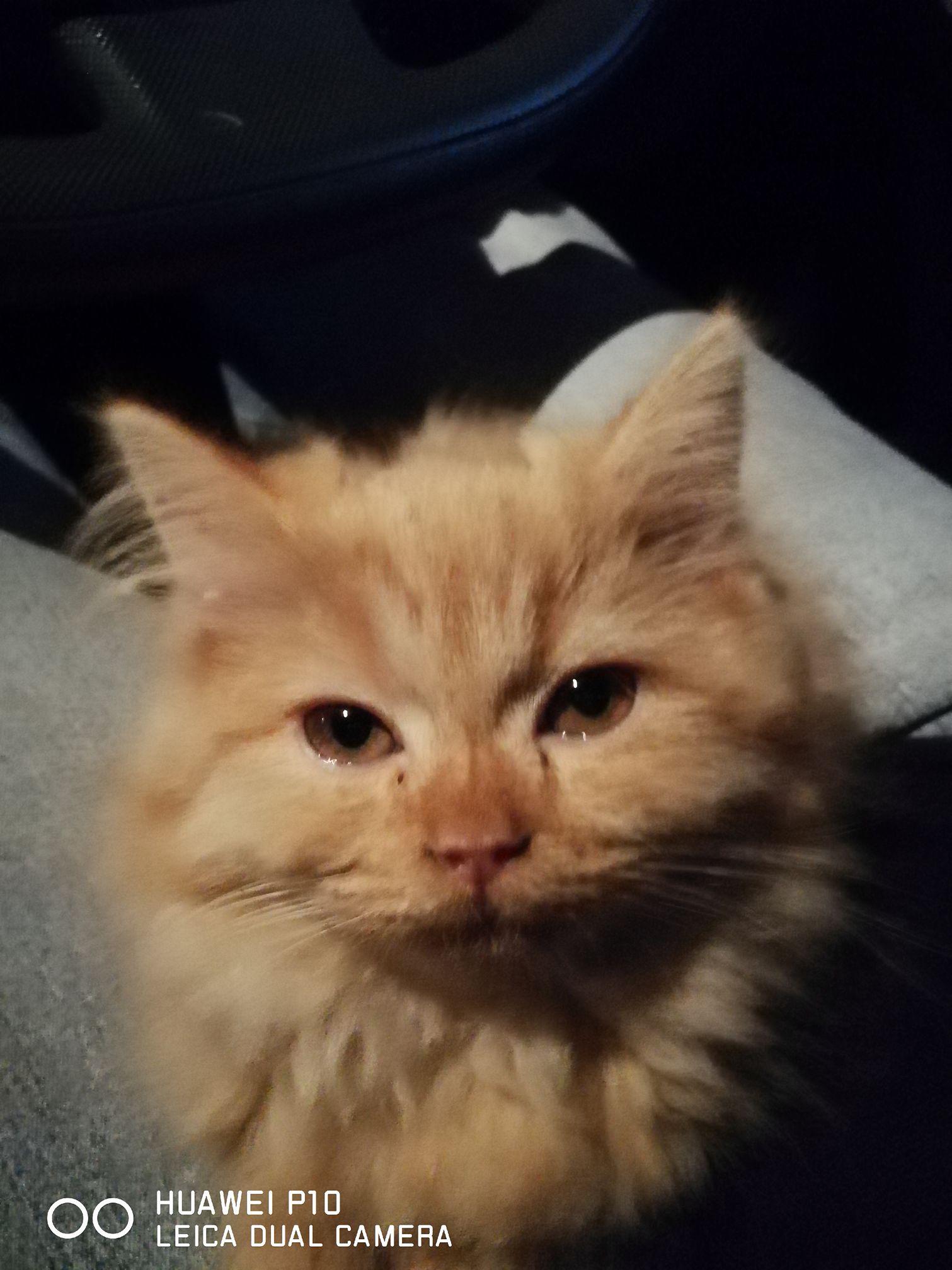 STARRY'S STORY (1): Takut Hujan