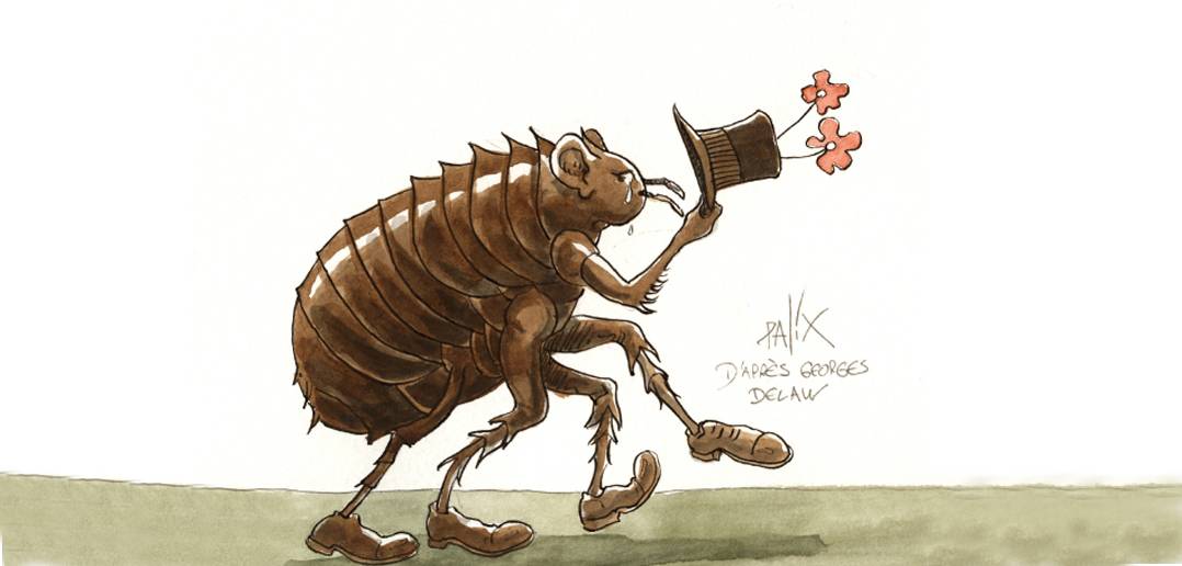 Prilaku Politikus, dari Kutu Loncat sampai Belah Diri Ala Amoeba