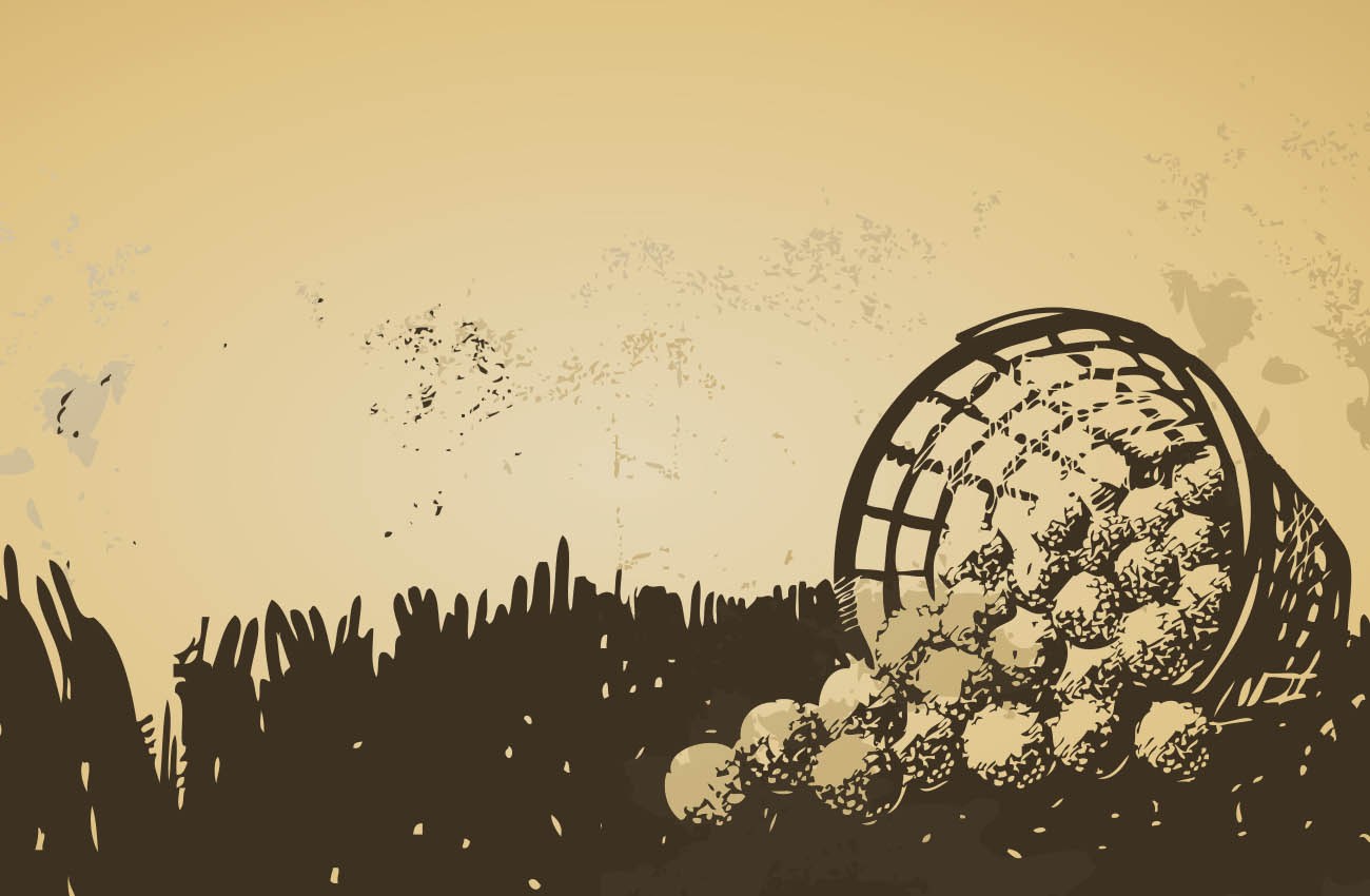 Saudara Saya Robert Lai (4): Dua Hobi Yang Tak Ketemu