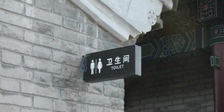 Dahlan Iskan Menjawab (2): Revolusi Toilet dan Kereta Peluru Tiongkok