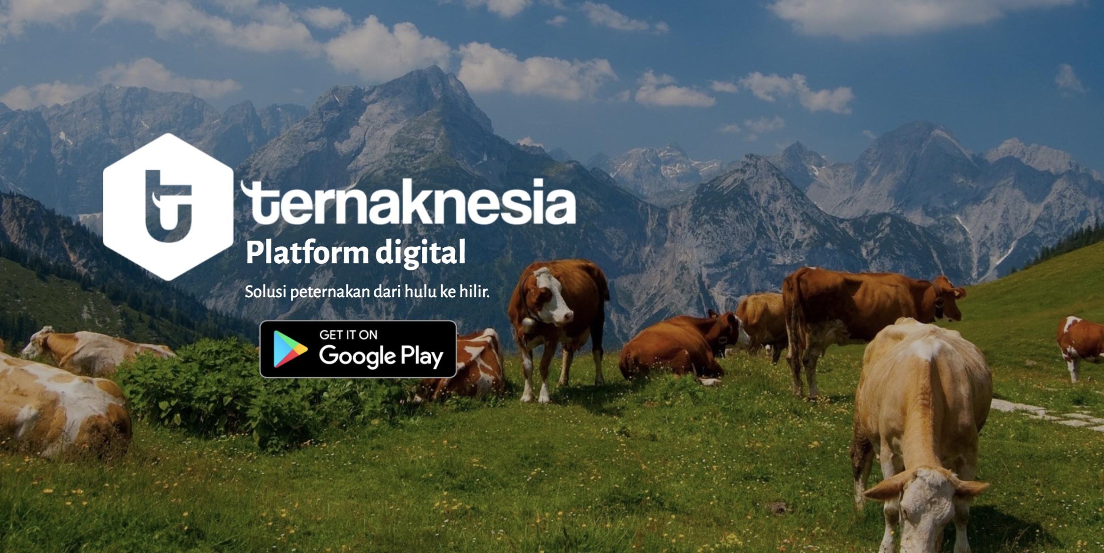 Sosok Dalu Nuzulul Kirom (2): Musyrik Bisnis, Apa Itu?