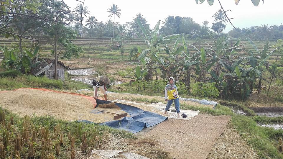 Nasib Najib, Kekuasaan Semanis Madu tapi Juga Bisa Sepahit Empedu
