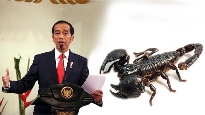 Untuk Jokowers yang Mudah Paranoid