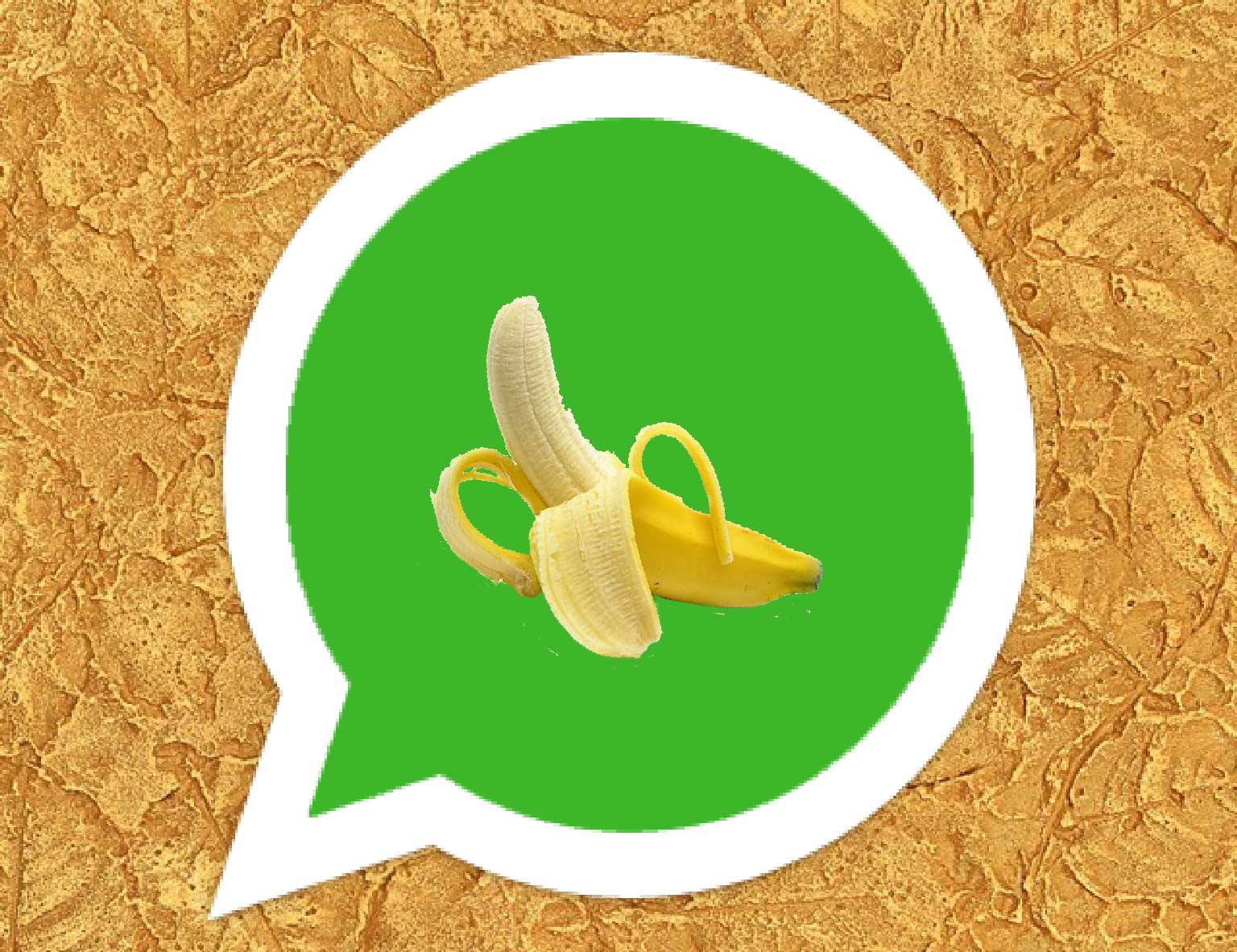 Memahami Keluarnya SP3 Rizieq Shihab Luar Dalam