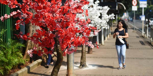 Jakarta Berdandan dengan Pohon Bo'ongan Seharga Em-em-an