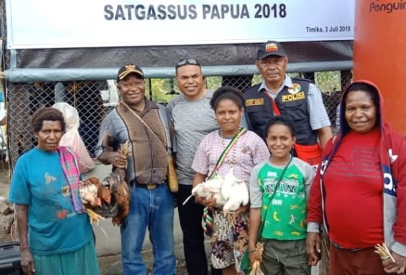 Panen Ayam Hanya Ada di Timika, Papua