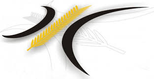 11 "Katanya" tentang PKS, "Kritik Selfie" dari PKS Sendiri