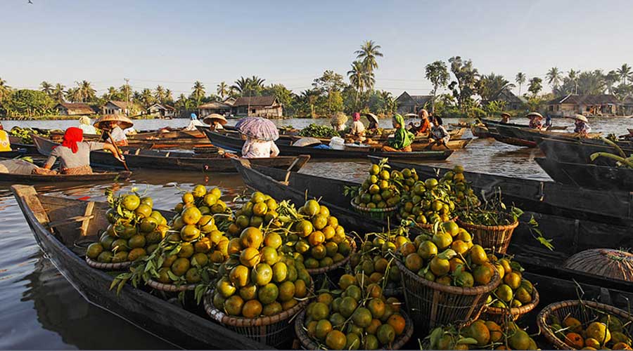 Jeruk Tebas, Bukan Pontianak, Hancur Akibat Tata Niaga Jeruk