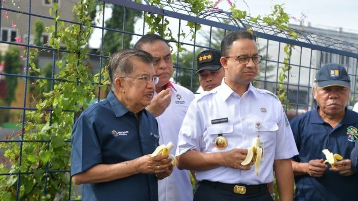 Dimana Posisi Jusuf Kalla di Pilpres 2019 Nanti?